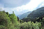 Der Feldberg ist der höchste Berg im Schwarzwald. Besuchen Sie dort das Haus der Natur.