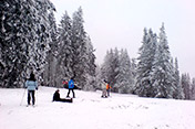 Der Feldberg im Winter idealer Ort des Wintersports, mit großem zusammenhängendem Liftverbund.