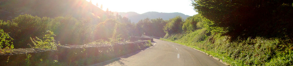 Bad Bellingen