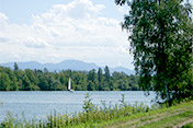 Der Alt-Rhein ist als Naherholungsgebiet und Naturerlebnis auch per E-Bike sehr beliebt.