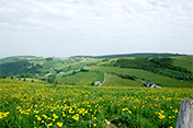 Der Schauinsland ist als Tagesausflug in gut einer Stunde zu erreichen.